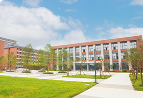 学校环境