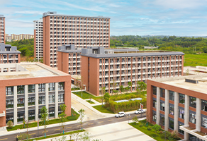 学校环境